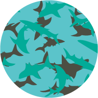 Blue Shark